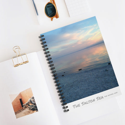 journal, the salton sea, california