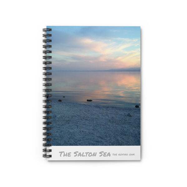 journal, the salton sea, california