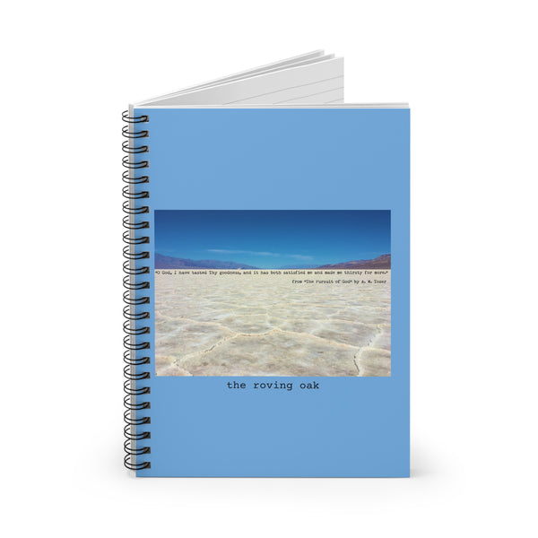 journal, death valley salt flats, goodness of god